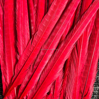 50-55 cm 20-22 pouces teint Ringneck plumes de faisan pour carnaval Costume danse coiffure accessoire Festival décoration