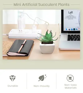 लोकप्रिय कार्यालय नकली कमरों का पौधों सजावटी प्लास्टिक मिनी कृत्रिम रसीला बोन्साई थोक BSCI BEPI