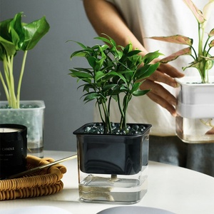 Indoor <strong>Selfwatering</strong> Planters Transparent clear Home Succulent <strong>Plants</strong> Macetas Decoracion Desktop Self Watering Flower Pot - Product Image 2