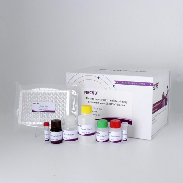 PRRSV Monoclonal Antibody Competitive ELISA Kit for Swine Reproductive and Respiratory Syndrome Virus Detection