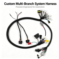 Harnais de câblage multi-branche personnalisé OEM ODM pour système de contrôle d'équipements d'automatisation industrielle