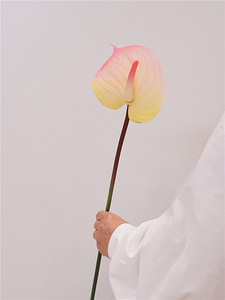 <span class=keywords><strong>Fleur</strong></span> artificielle de style européen, aspect naturel, <span class=keywords><strong>Arum</strong></span> rouge, Crinière de cheval, pour aménagement de salle, photographie et mariage - Product Image 6