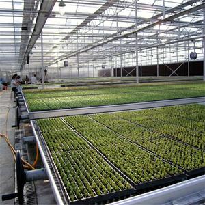 ONE-ONE Indoor Vertical Grow Rack for Hydroponic <b>Greenhouse</b> Ebb Flow Flood <b>Table</b> Tray Nursery Irrigation Equipment - Product Image 6