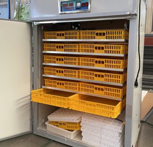 Équipement automatique économiseur d'énergie d'incubation d'oeufs avec la capacité d'oeufs 528-10000 comprenant les boîtes d'oeufs isolées - Product Image 6