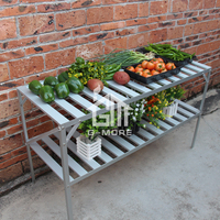 Vente directe d'usine, support à plantes en métal à 2 niveaux avec 14 barres par niveau, étagère de jardin résistante à la rouille pour l'extérieur/l'intérieur