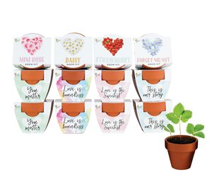 Mini pots de culture en terre cuite, kit de démarrage pour plantes et fleurs, collection Love, lot de 12, kit de jardinage DIY d'intérieur, cadeaux de mariage - Product Image 1