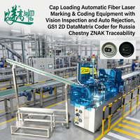 Machine de codage laser à fibre automatique à chargement par capteur avec inspection visuelle et rejet des défauts, conforme GS1, Russian Chestny ZNAK