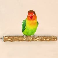 Perchoir rond pour perroquet, bâton à griffer, jouet pour oiseaux, accessoires