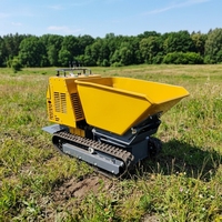 OEM Kostenloser Versand EURO 5 Diesel Mini-Dumper Hydraulischer Raupendumper für Landwirtschaft, Garten und Landschaftsbau vom Hersteller