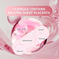 Capsule de placenta de mouton naturel Acorn Softgel Compléments Capsule de placenta de mouton Softgel