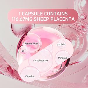 Cápsula de <span class=keywords><strong>Placenta</strong></span> de Oveja Natural de Bellota Suplementos de Softgel Cápsula de <span class=keywords><strong>Placenta</strong></span> de Oveja - Product Image 5