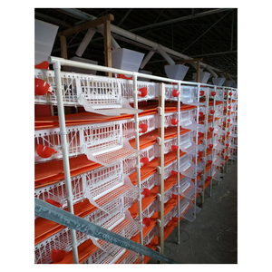 720 chim cút thị trường tốt 6 tầng mạ kẽm nhúng nóng tự động lồng chim cút Trắng/Nhà cung cấp lồng chim cút cho lớp sản xuất trứng - Product Image 6