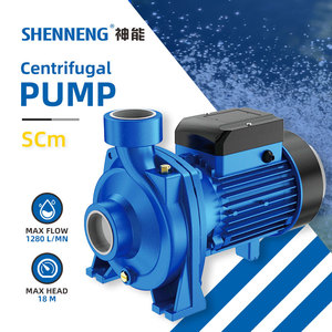 Pompe à eau de surface SHENNENG, pompe à eau centrifuge <span class=keywords><strong>automatique</strong></span> pour la maison, 1,5 CV - Product Image 1