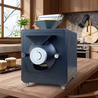 Machine à torréfier le café d'usine à usage multiple Machine à torréfier les grains de café Torréfacteur de café pour le café Shop Home Office