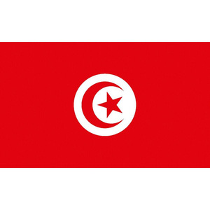 Drapeau de la <span class=keywords><strong>Tunisie</strong></span> en gros Nuoxin, 3x5 pieds, articles imprimés personnalisés pour la fête nationale, drapeau tunisien - Product Image 6
