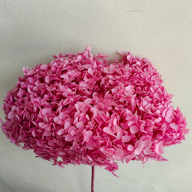 rose foncé