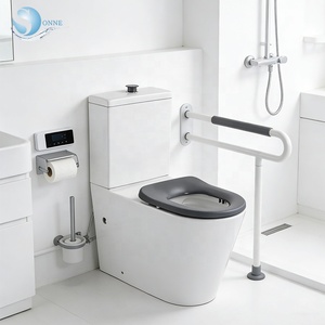 <span class=keywords><strong>WC</strong></span> <span class=keywords><strong>per</strong></span> <span class=keywords><strong>disabili</strong></span> standard australiano, toilette in due pezzi, <span class=keywords><strong>WC</strong></span> accessibile - Product Image 1