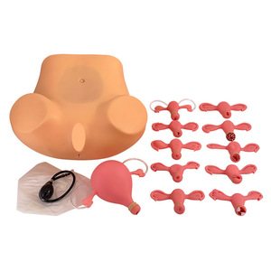 Modèle d'examen gynécologique interne : palpation et inspection utérine ; modèle avancé d'entraînement à l'examen gynécologique. - Product Image 1