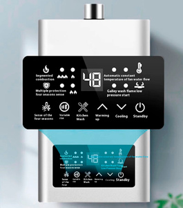 Bán Buôn Ống Khói Loại Trung Quốc <span class=keywords><strong>Tankless</strong></span> Nóng Ngay Lập Tức <span class=keywords><strong>Tankless</strong></span> Dyser Xách Tay Tắm Gas Máy Nước Nóng - Product Image 3