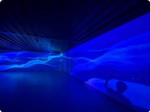 Pantalla LED Transparente de Color Plateado para Montaje en Pared, Instalación Fija en Interiores, Pantalla Full HD - Product Image 2