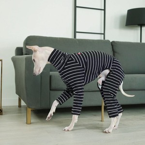 Mono personalizado de Ballet, ajustado, elástico, con rayas de calor, cuello alto, cálido, cómodo, para perros, ropa de invierno para mascotas, para <span class=keywords><strong>Galgo</strong></span> <span class=keywords><strong>Italiano</strong></span> - Product Image 5