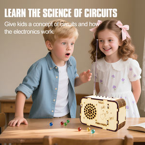 DIY RADIO SPEAKER Kit Experimento Elétrico Kid 3D Madeira Montar Ciência Engenharia Stem Brinquedos - Product Image 2