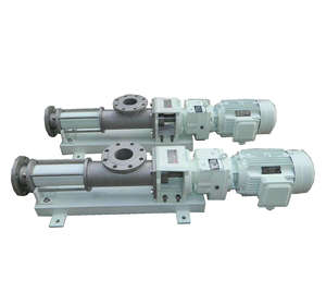 Pompe à vis excentrique monovis à cavité progressive en acier inoxydable de qualité alimentaire, série G, pour transfert de fluides à haute viscosité - Product Image 6