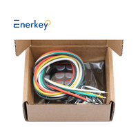 Égaliseur de batterie actif Enerkey 3S 4S 5A Lifepo4, égaliseur de batterie lithium 4S Lipo Li-ion LTO LiFePO4 pour vélo électrique