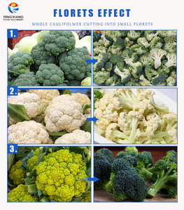 Ligne de production industrielle de légumes surgelés : machine de découpe, lavage, blanchiment, séchage et congélation du brocoli - Product Image 6