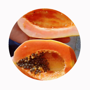 IQF <span class=keywords><strong>Papaya</strong></span> verde <span class=keywords><strong>congelada</strong></span> Fruta seca <span class=keywords><strong>de</strong></span> calidad superior para bocadillos y cocina saludables - Product Image 6