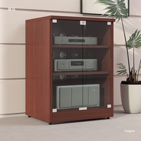 Armoire pour amplificateur de puissance, équipement audio-vidéo, avec porte, pieds, design de support, modèle X-b01
