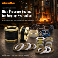 Jeu de joints Chevron et V-Ring multi-lèvres renforcés en aramide, Kevlar et PTFE Dlseals pour cylindre hydraulique de forgeage