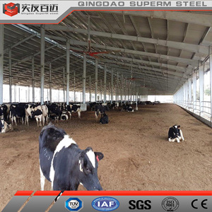 Conception moderne personnalisée Bâtiment de construction en acier léger préfabriqué Structure en acier Maison pour vaches Ferme pour bovins vaches laitières - Product Image 5