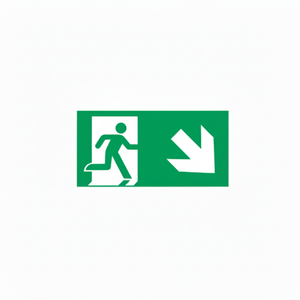 Uscita di emergenza verso il basso segno freccia destra-150 in PVC luminescente * 300 mm - Product Image 2