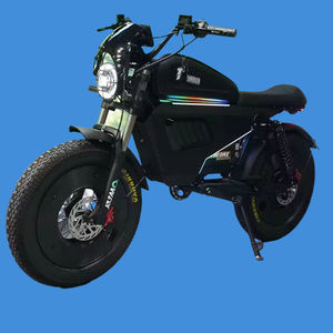 Bicicleta Premium para Adultos: Modelos Híbridos, de Montaña, Todoterreno y con Neumáticos Anchos, con Opción Plegable, Motor de 1000W 48V para Mayor Potencia SK-2 Electri - Product Image 1