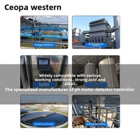 Contrôleur de pH personnalisable, acidimètre industriel, affichage numérique, capteur de qualité de l'eau, sonde d'électrode, support ODM
