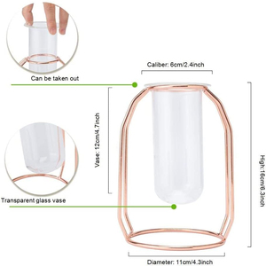 Vase hydroponique en verre et métal INS, dispositif en cristal, terrarium, station <span class=keywords><strong>de</strong></span> multiplication, <span class=keywords><strong>d</strong></span>écor <span class=keywords><strong>de</strong></span> maison, articles mobilier, vase en or - Product Image 5