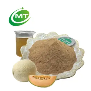 ISO kostenlose Probe 100 % Bio-Kukorbmelone-Extrakt 10:1 hochwertiges Hami-Melon-Pulver Cantaloupe-Extraktpulver