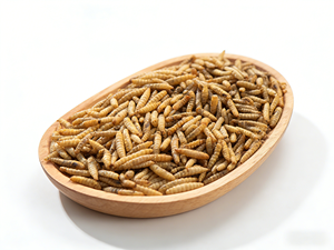 Larvas Secas de Mosca Soldado Negra a Granel, Alimento Seco de Gusanos de Fábrica Estable para Ganado, Aves de Corral, Acuarios y Mascotas - Product Image 1