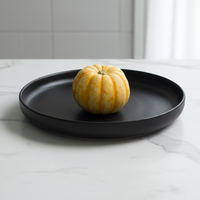 Assiette creuse ronde en céramique pour pâtes, spaghetti, soupes, salades et desserts – Vaisselle de restaurant