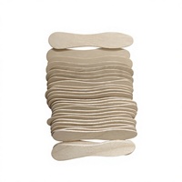 Bâtonnets de crème glacée jetables, flexibles, portables, écologiques, en bois de bouleau, pour machine à crème glacée et desserts, cuillère à crème glacée