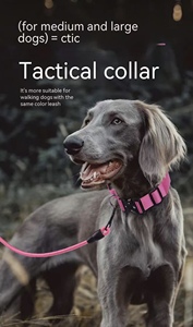 <span class=keywords><strong>Collar</strong></span> y Correa Táctica para Perro, Duradera, Simple, Antiexplosión, para Perros Grandes, Entrenamiento al Aire Libre, Reflectante, de Nailon/Metal - Product Image 2