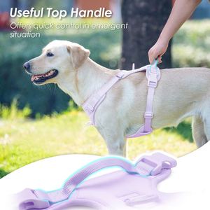Arnés para Perro Sunraymascota, Tipo Chaleco, Sin Tirones, con Clip Frontal, Diseño Sólido, Estilo Simple, Talla XL, para Todas las Razas (Morado Claro M) - Product Image 3