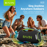 Haut-parleur karaoké portable sans fil BAVIN avec logo personnalisé OEM ODM BM55 250W 12000mAh Batterie BT5.3