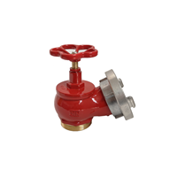 Vanne d'atterrissage pour eau de feu de style allemand 2 ''2.5'' DN65 Din Vanne d'atterrissage avec adaptateur Storz Vanne d'eau pour bouche d'incendie