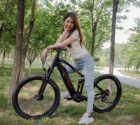 27.5 pouces 500W Mid Drive VTT électrique 48V 13Ah Suspension complète VTT Ebike Vélo électrique pour adultes
