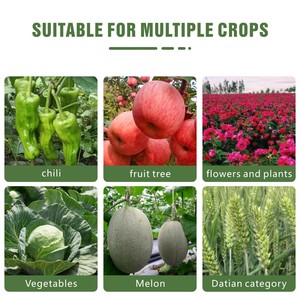 Fertilizante <span class=keywords><strong>NPK</strong></span> 15,15 15,15 Bán Buôn <span class=keywords><strong>NPK</strong></span> <span class=keywords><strong>20</strong></span> <span class=keywords><strong>20</strong></span> <span class=keywords><strong>20</strong></span> Phân Bón Lớn Yếu Tố Tan Trong Nước Phân Bón - Product Image 4