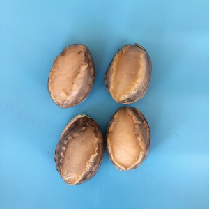 Cuit congelé d'ormeau en coquille - Product Image 1