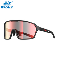 Lunettes de cyclisme sportives transparentes grises TR90 personnalisées en gros avec branches interchangeables et antidérapantes