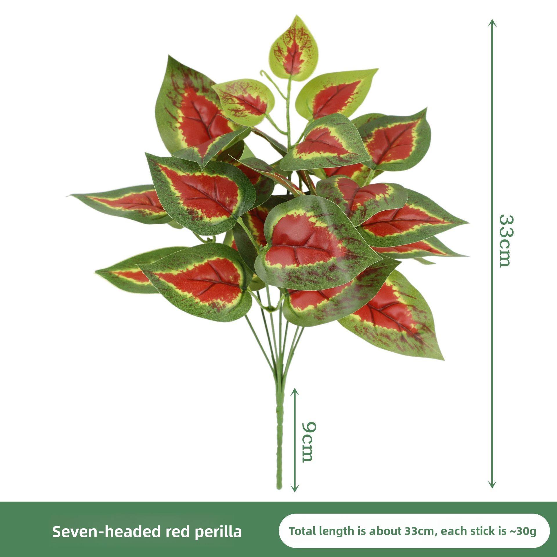 Feuilles de périlla à cœur rouge/6